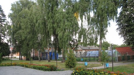    ȅ
